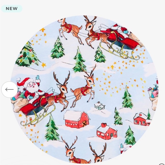 Posh Peanut Pere Noel Twirl Dress, 3T-4T, NWT - Picture 2 of 2